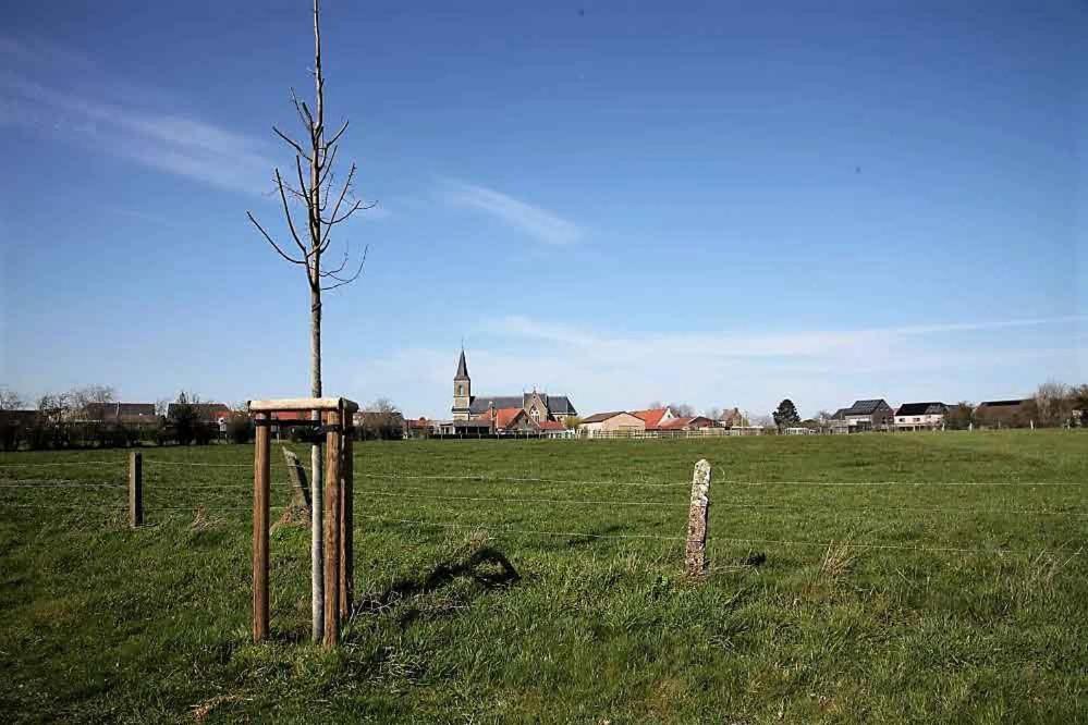 Het Zonnetje -Vakantiewoning En Bed And Breakfast Dilsen-Stokkem Buitenkant foto