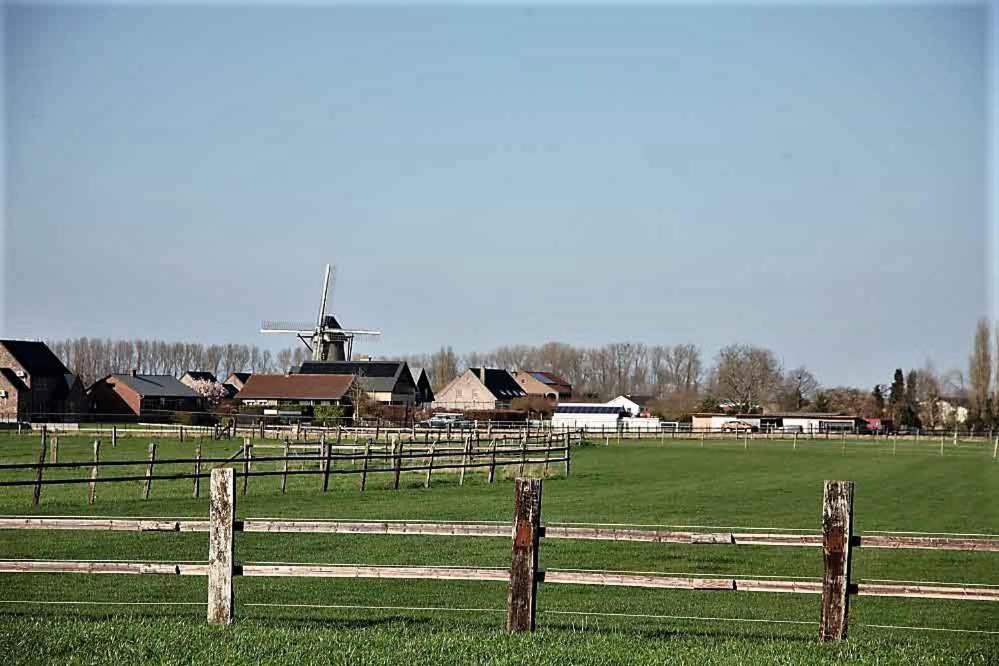 Het Zonnetje -Vakantiewoning En Bed And Breakfast Dilsen-Stokkem Buitenkant foto