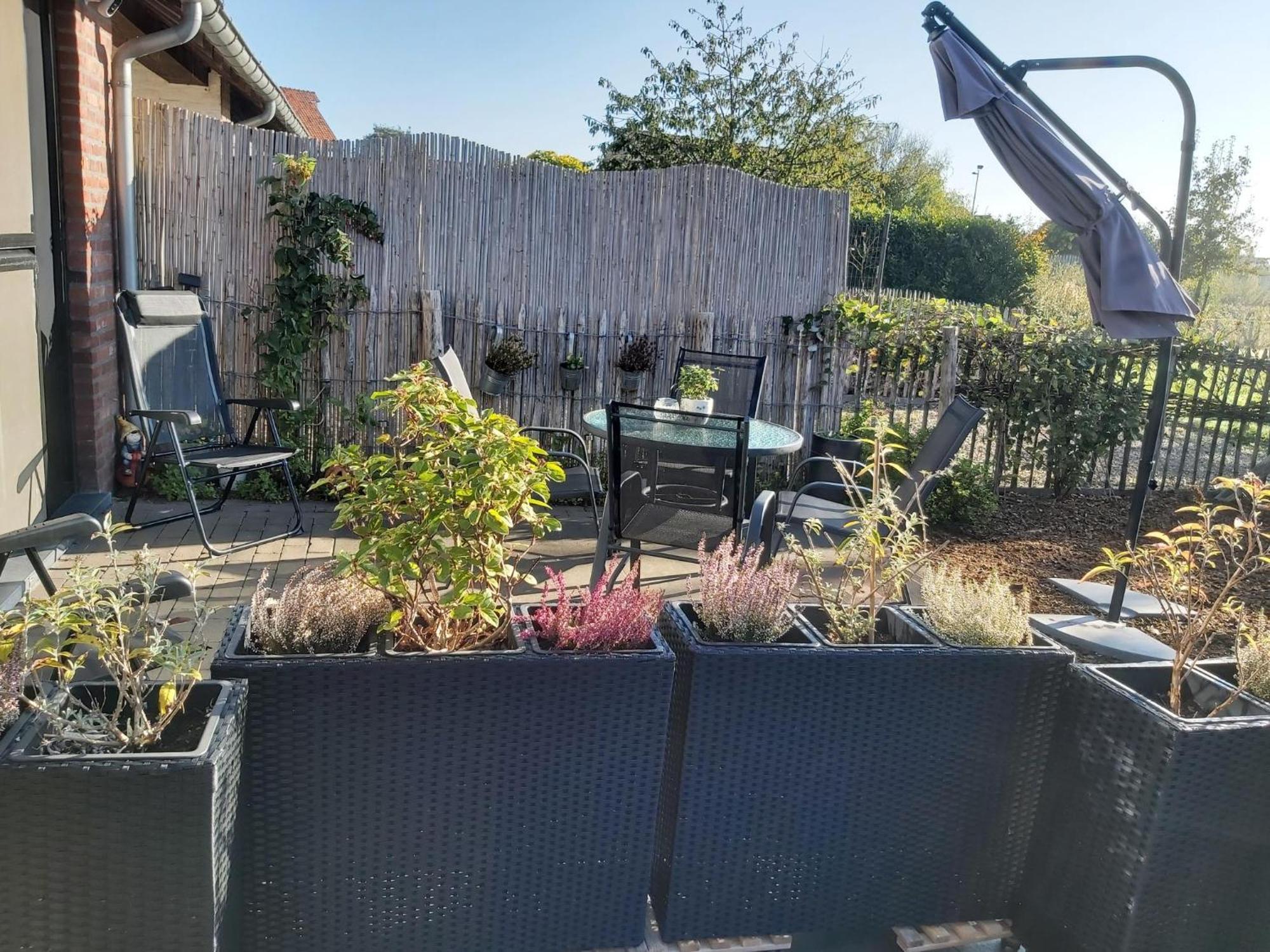 Het Zonnetje -Vakantiewoning En Bed And Breakfast Dilsen-Stokkem Buitenkant foto