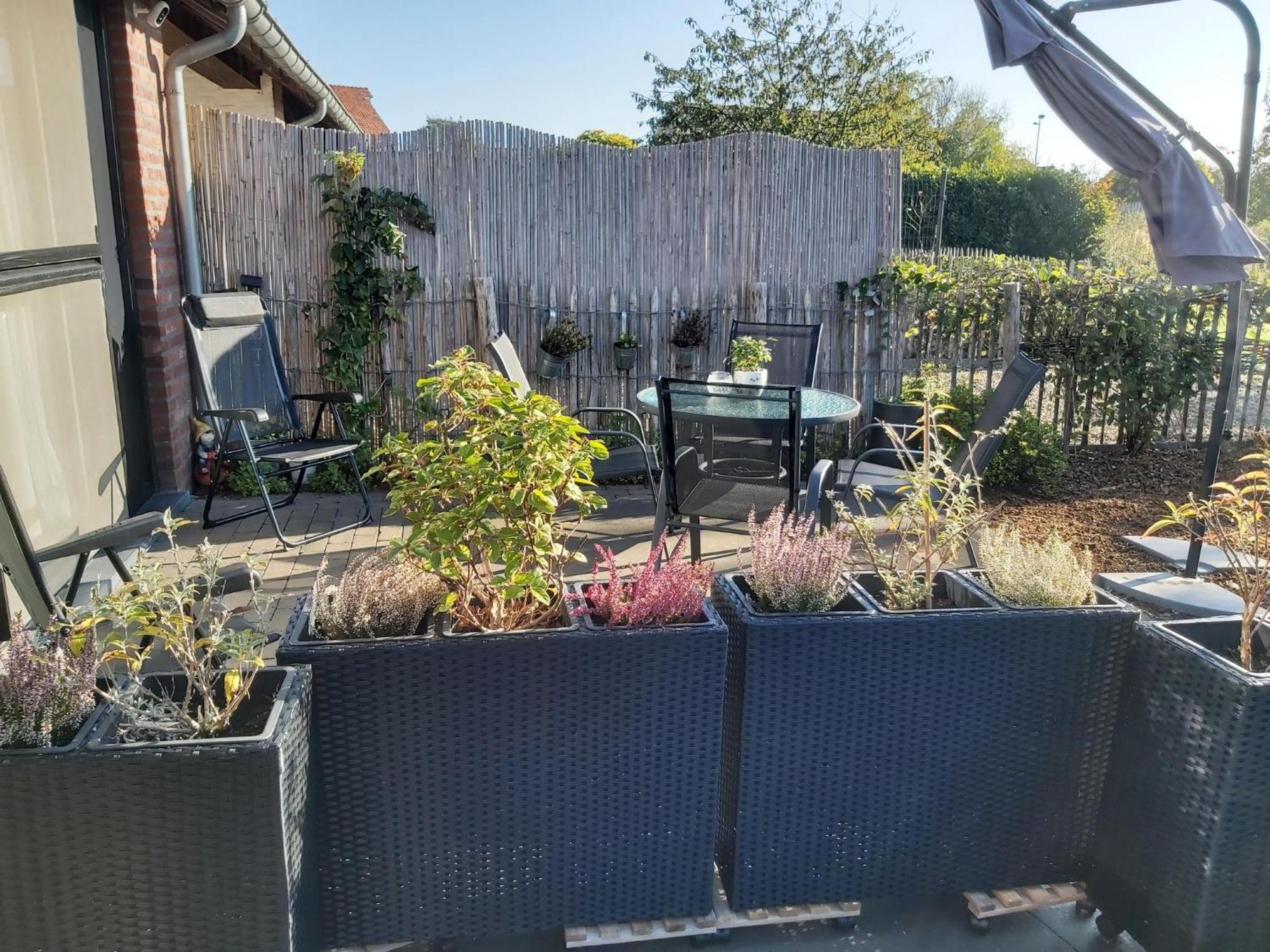 Het Zonnetje -Vakantiewoning En Bed And Breakfast Dilsen-Stokkem Buitenkant foto